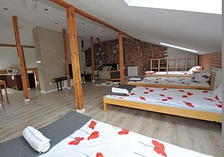 4-Bed Mixed Dormitory Room