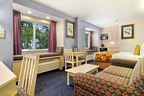 Queen Suite with Sofa Bed