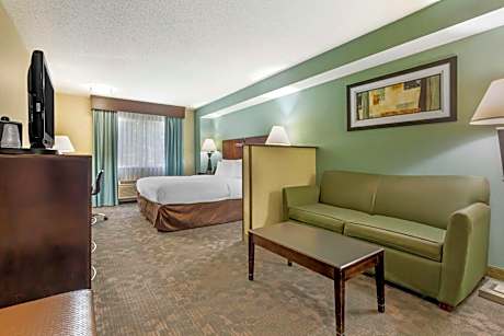 King Suite with Bath Tub and Sofa Bed - Disability Access/Non-Smoking