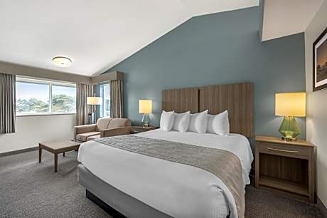 King Room with Roll-In Shower and Private Patio - Disability Access/Non-Smoking