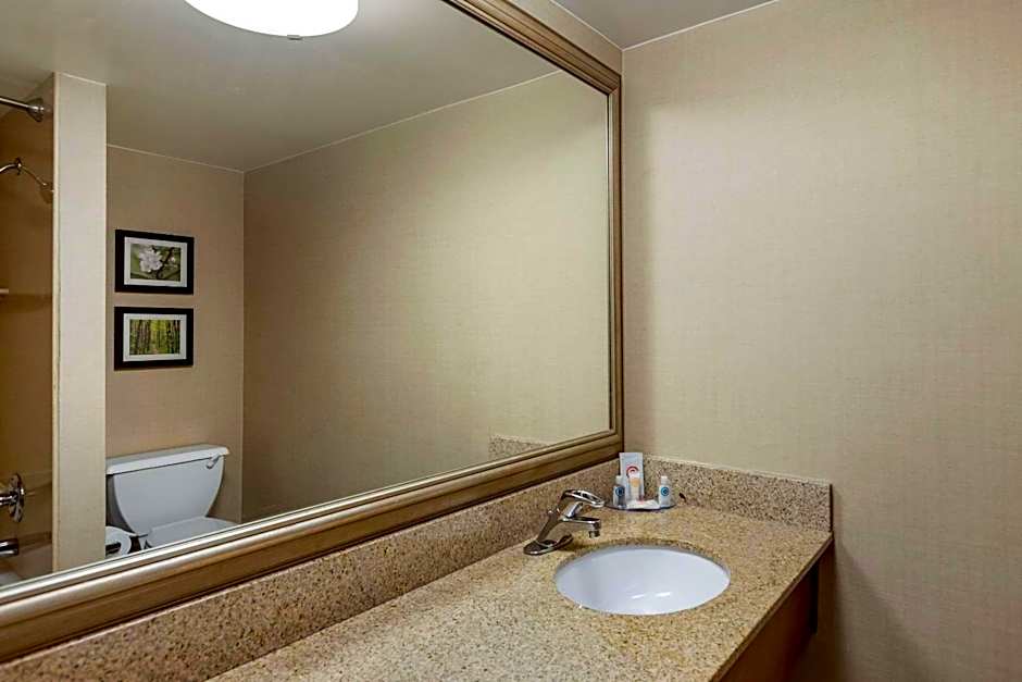 Comfort Inn Lansing West