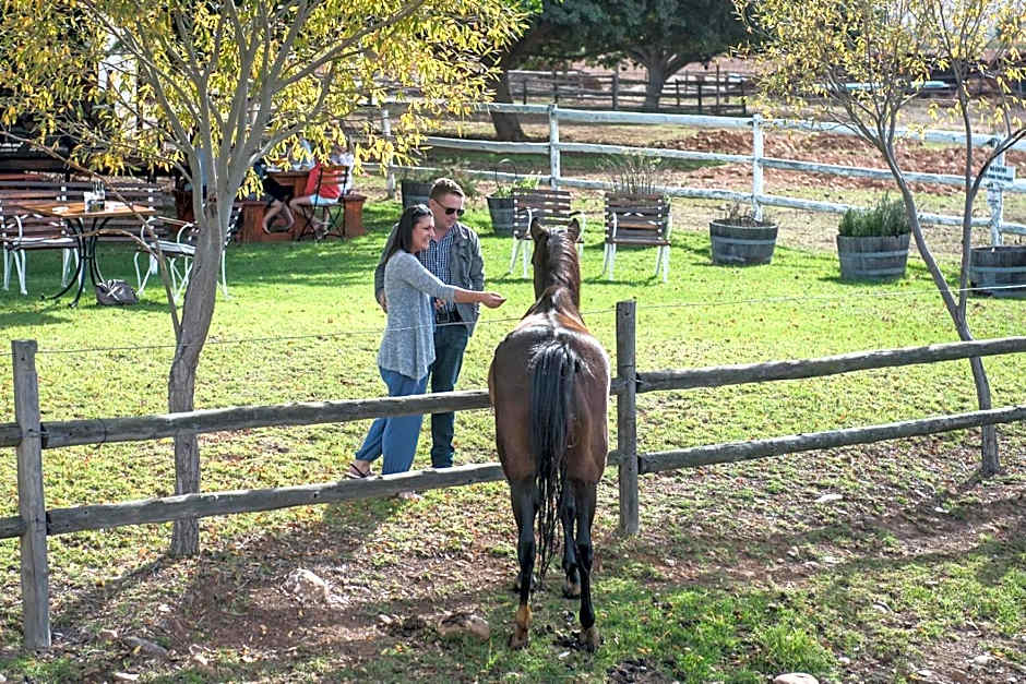 Excelsior Manor Guesthouse
