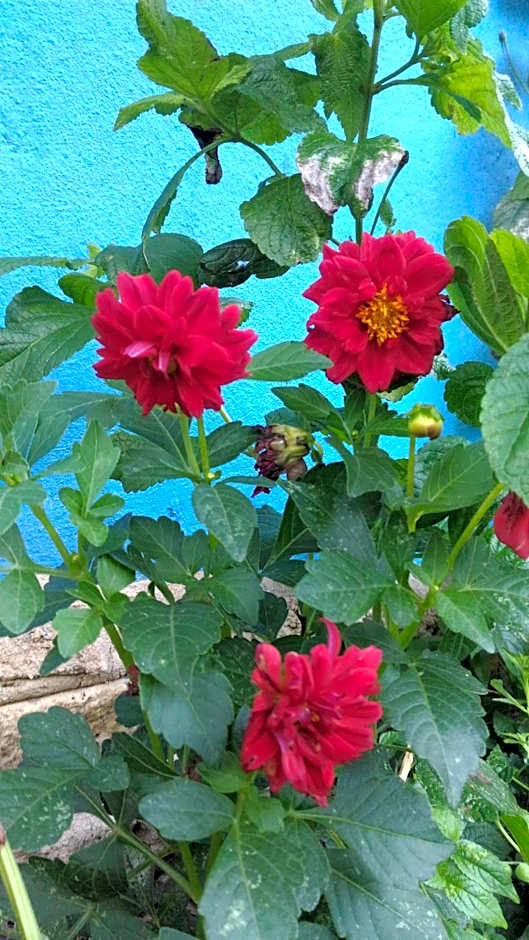 Pousada Container Eco Manguinhos