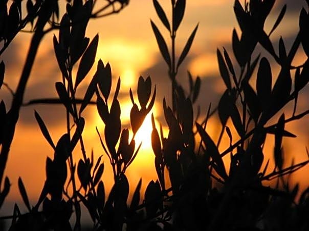 La Valle Verde hotel ristorante pizzeria