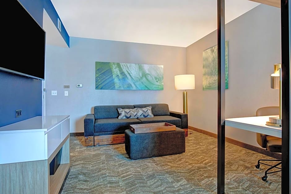 SpringHill Suites by Marriott Orangeburg