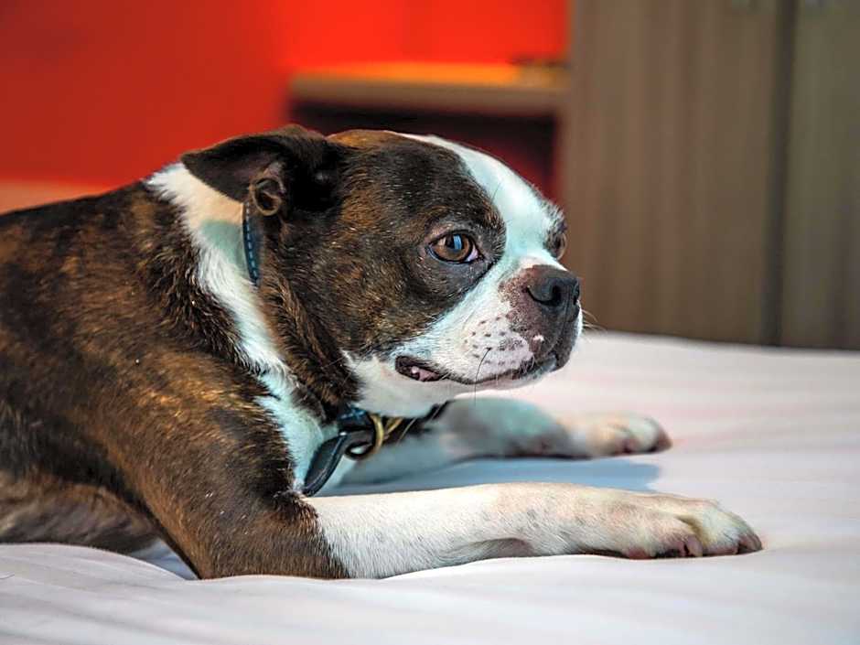 Ibis Styles Glasgow Central