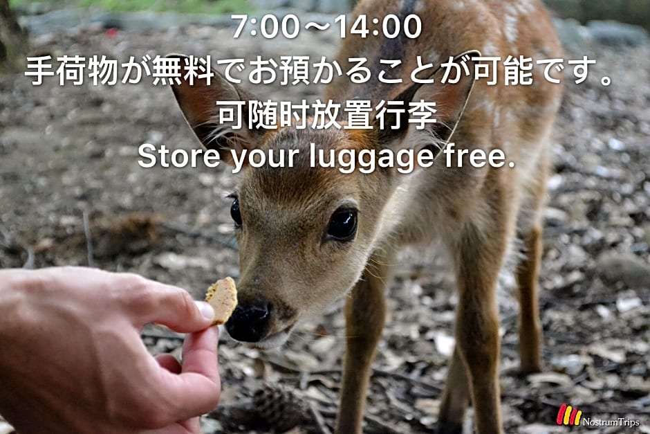 Nara Deer Hostel - Foreigners Only
