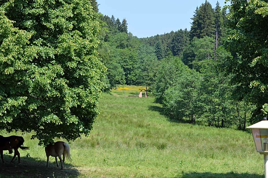Natur & Wander Hotel Gassbachtal