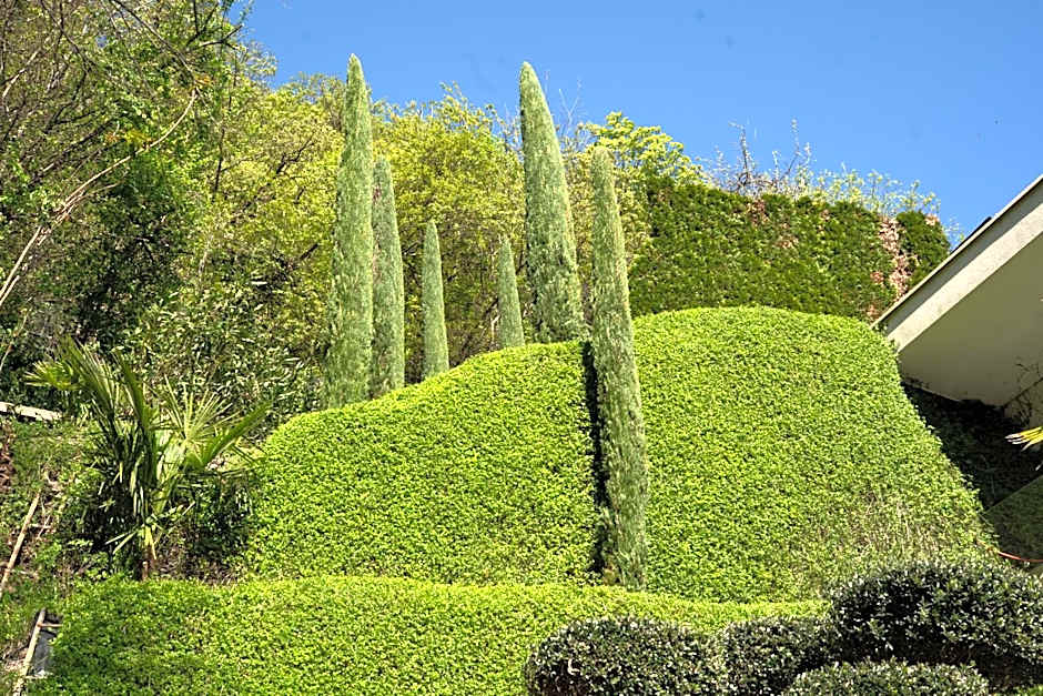 Chalet Agave