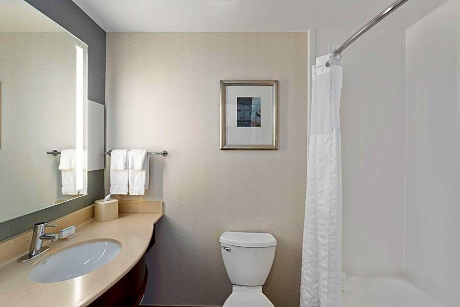 Hilton Garden Inn New Orleans French Quarter/Cbd