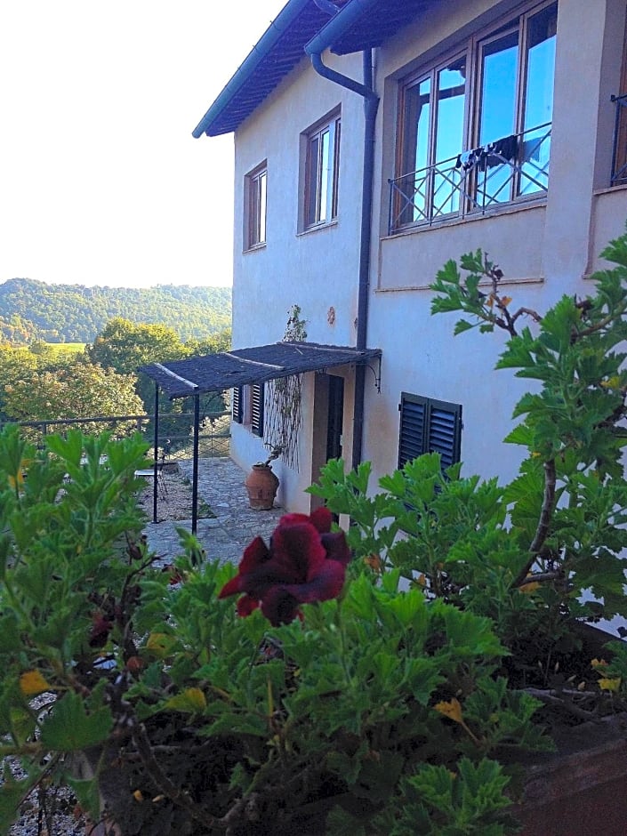 Torraccia di Chiusi Agriturismo Relais