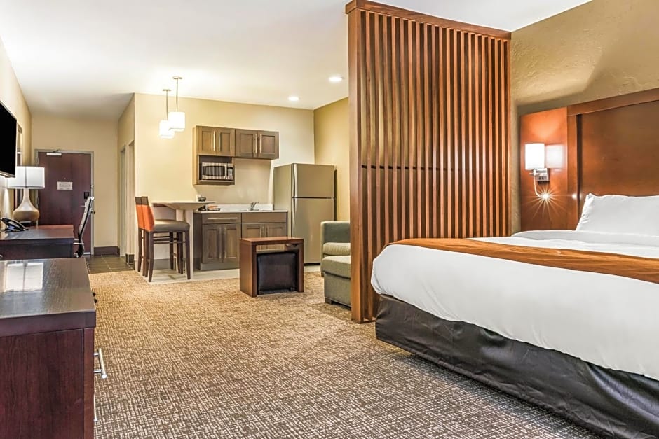 Comfort Suites Florence - Cincinnati South