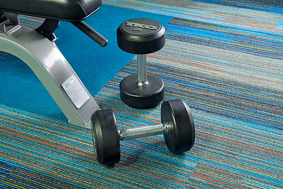 Wingate by Wyndham Chihuahua