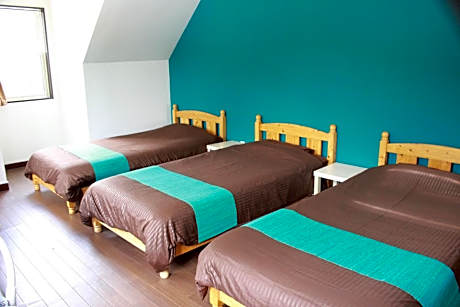 Triple Room with Terrace