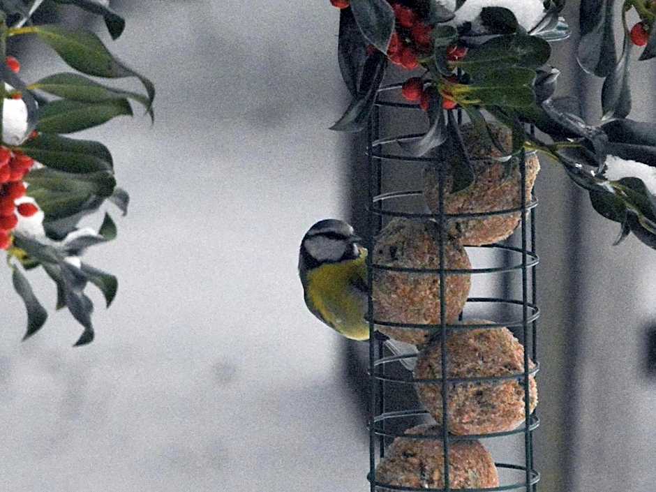 B&B De Loenense Bossen