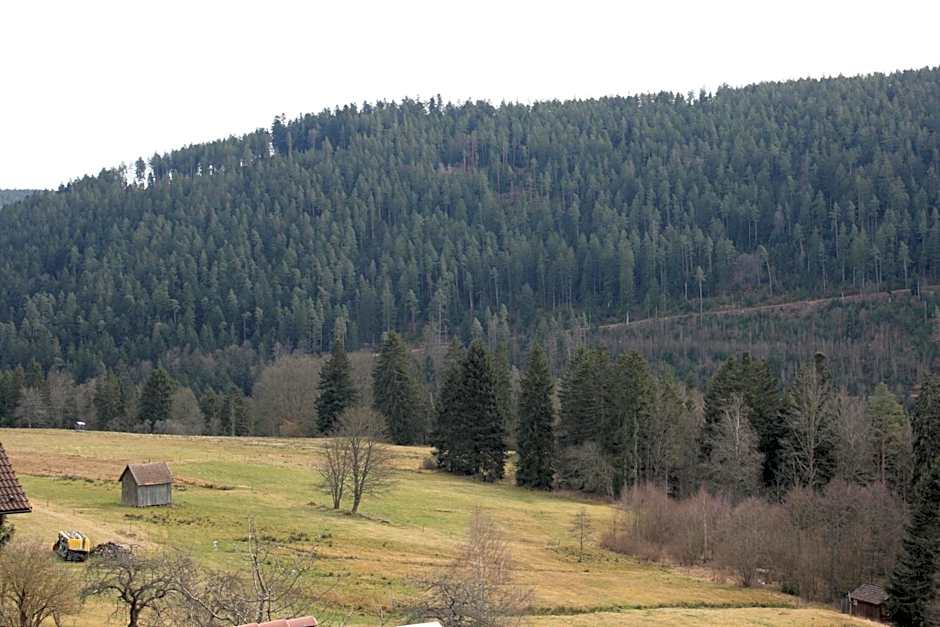 Schwarzwald-Gasthof Hirsch