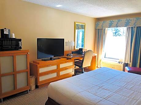 King Suite with Spa Bath - Non-Smoking