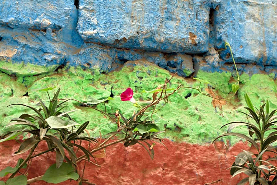 Riad Maryam Taroudant