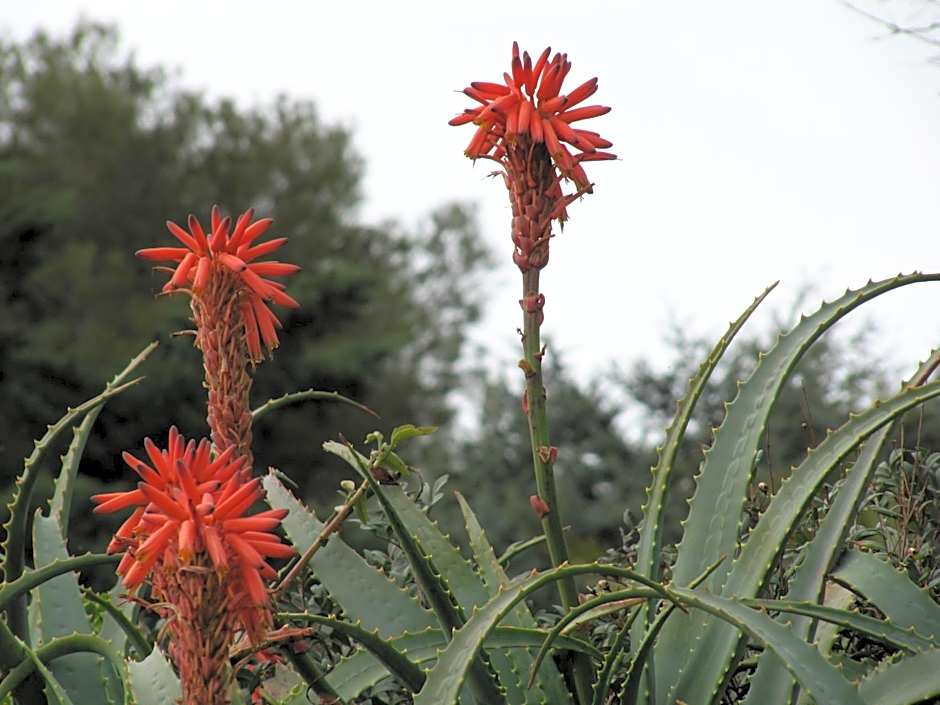 Hotel & Spa Cacciatori