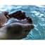 ＢＥＤ＇ｎ ＯＮＳＥＮ ＨＡＭＭＯＮＤ - Vacation STAY 80685v