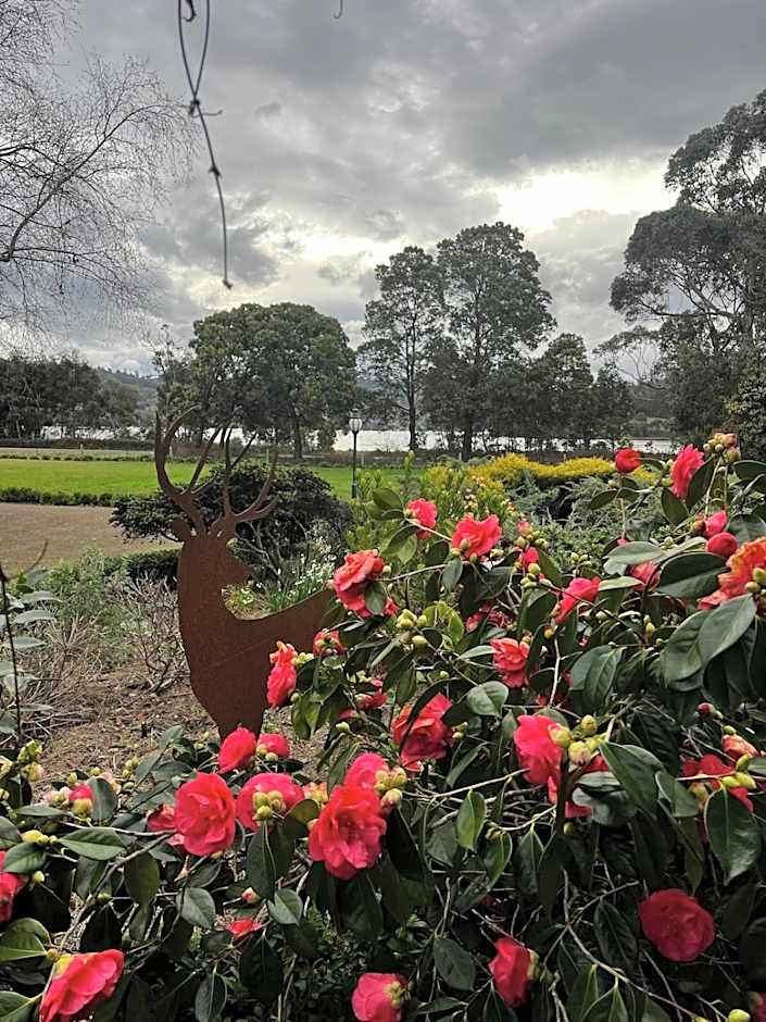 Green Gables B&B Waterfront Apartment or Garden Studio