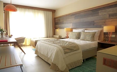 PREMIUM DOUBLE ROOM WITHSEA VIEW AND TERRACE