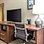 Comfort Inn Blue Ash North