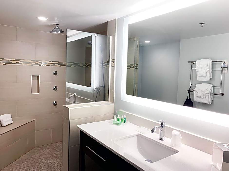 Holiday Inn University Area Charlottesville By IHG