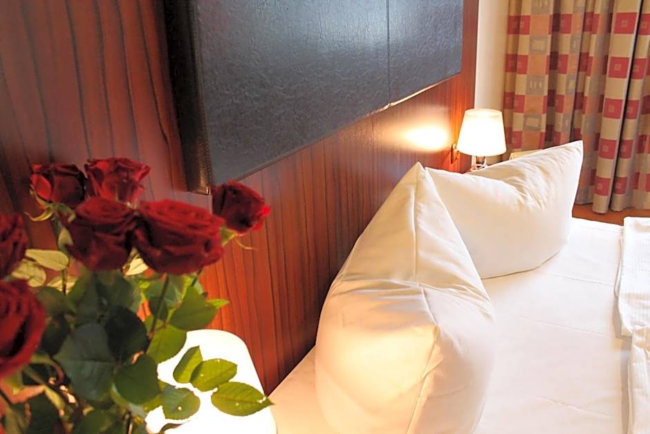City Hotel Mercator