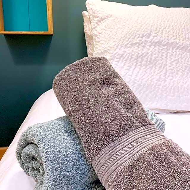 Au Cheval Blanc - appartements et chambres d'hôtes