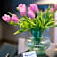 Hostel H360 - dawniej Hotelik Relax