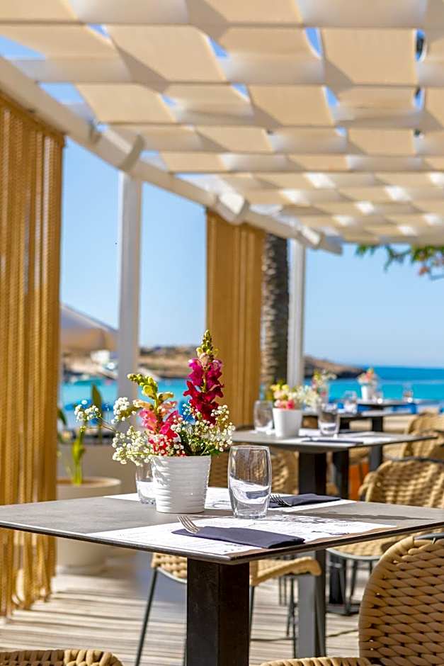 Pavlo Napa Beach Hotel