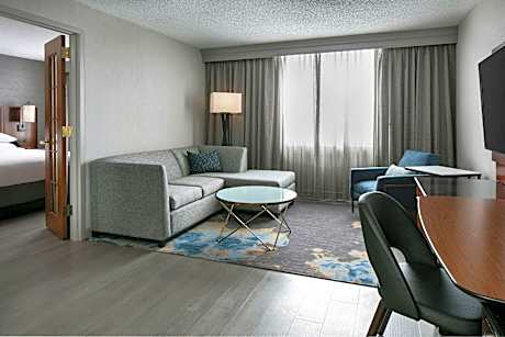 1 Bedroom Suite, 1 King, Sofa bed