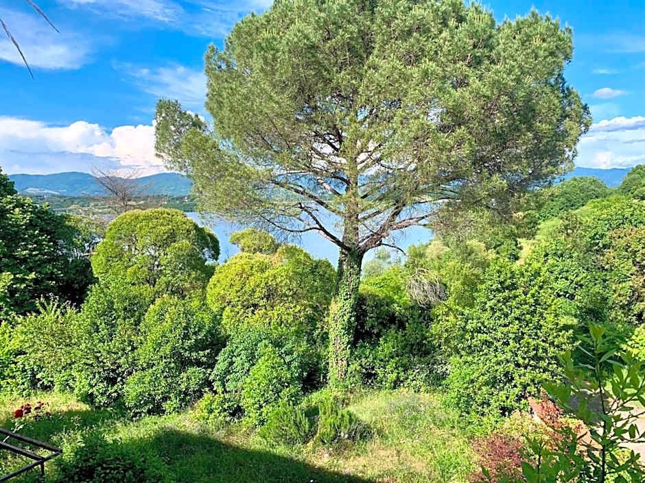 B&B Appartamenti Villa del lago