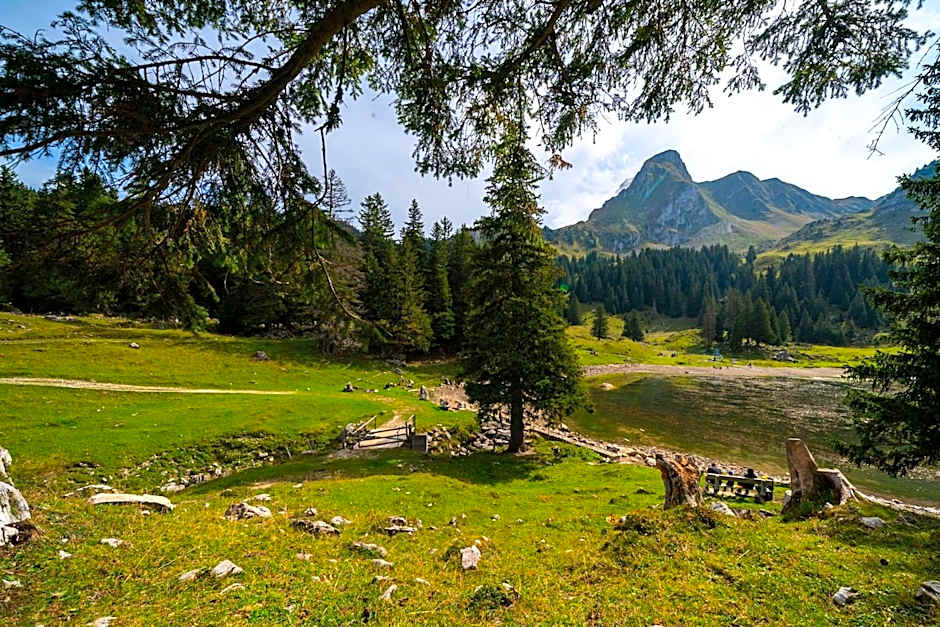 Hotel Sonne - Self Check-in