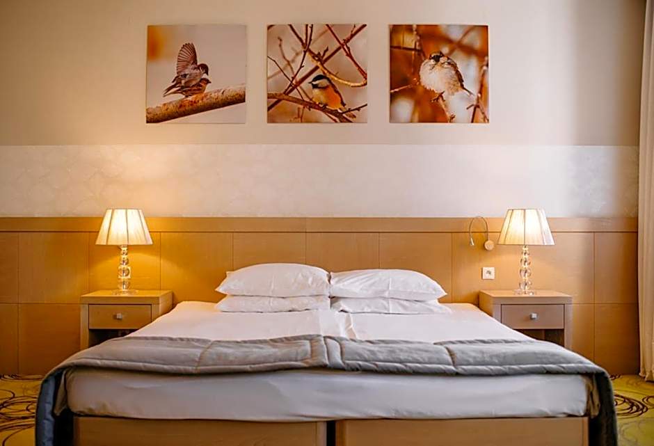 Hanza Paac Wellness & SPA