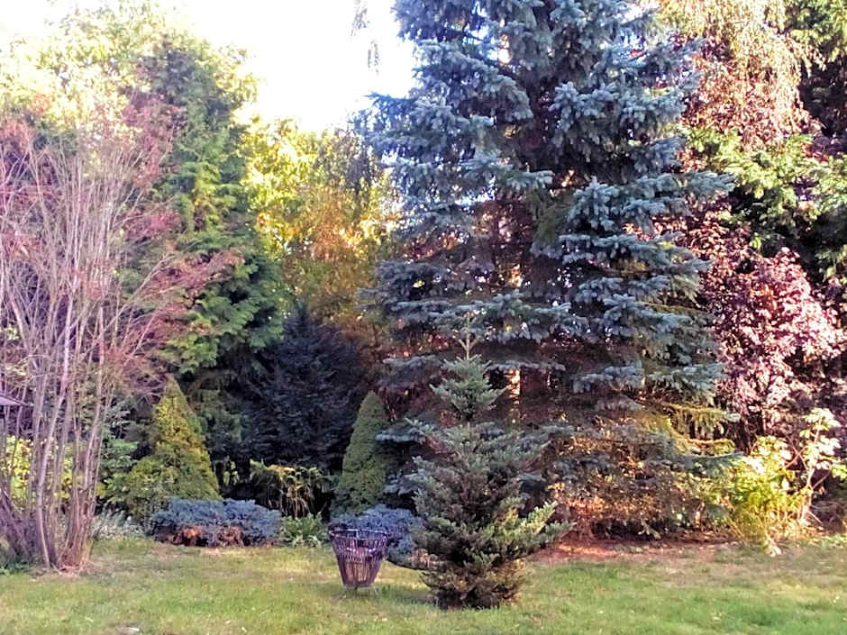 Hotel Leppiner Hof - B&B FRÜHSTÜCKSPENSION