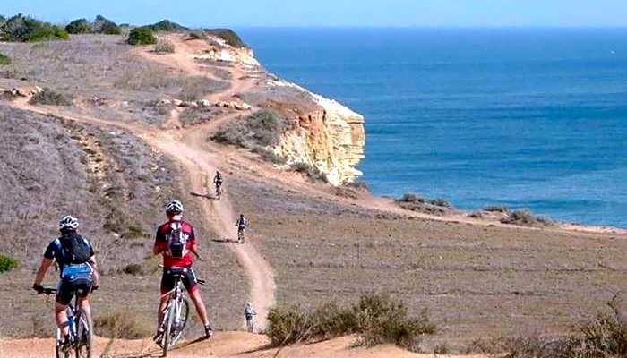 Hostel A Casa da Árvore