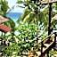 BaraCoco Bungalows