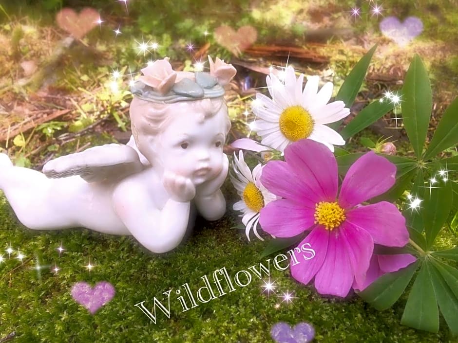 Pension Wildflowers