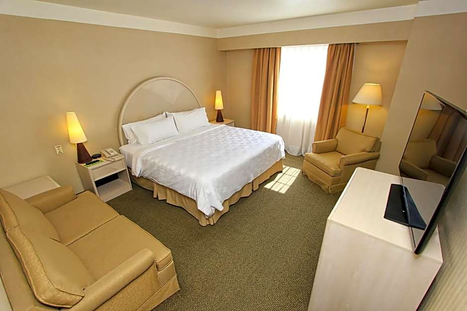 Holiday Inn Leon - Poliforum by IHG