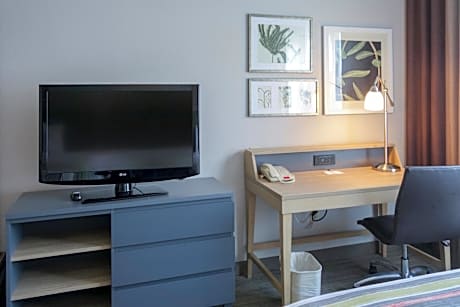 King Room with Roll-In Shower - Disability Access