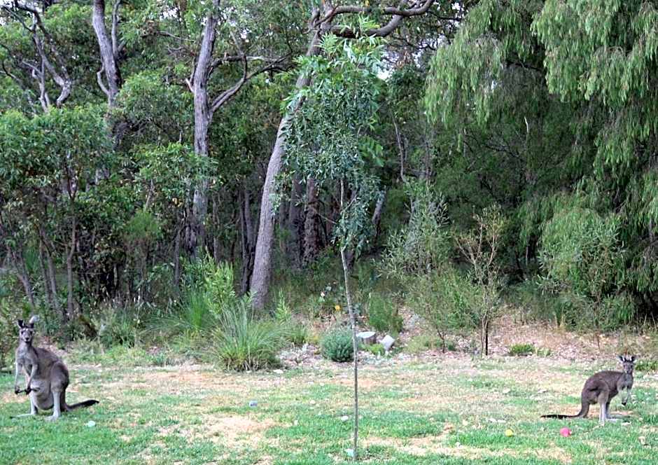 Margaret River Bed & Breakfast