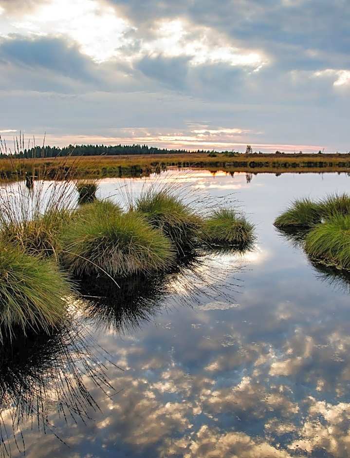 RCN Vakantiepark de Roggeberg