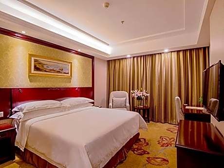 Vienna - Standard Single Room