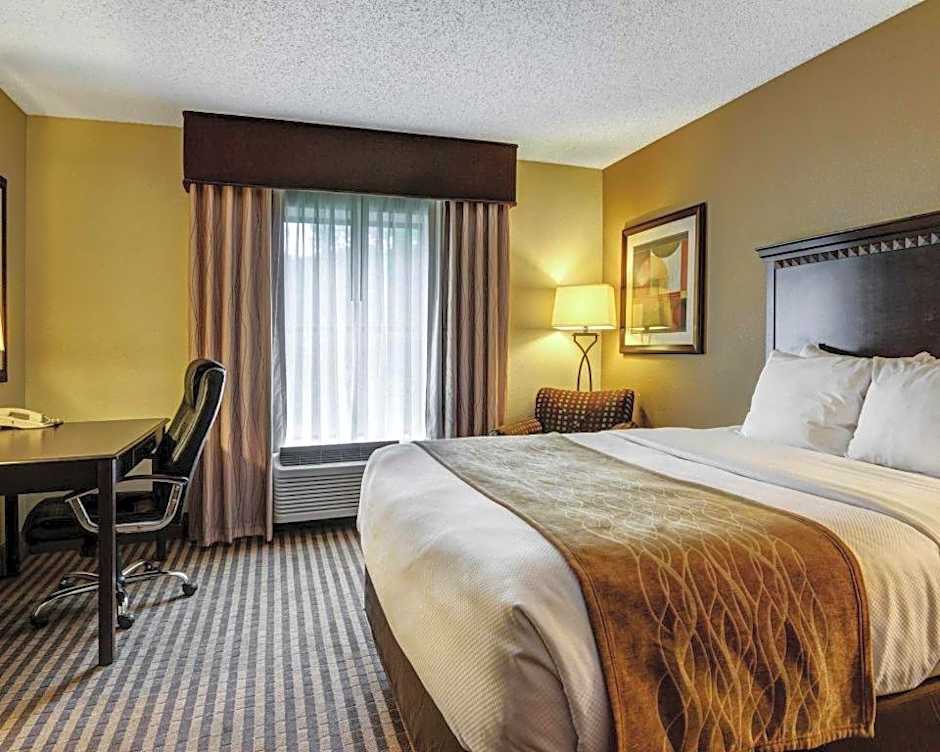 Comfort Inn & Suites Hot Springs Midtown