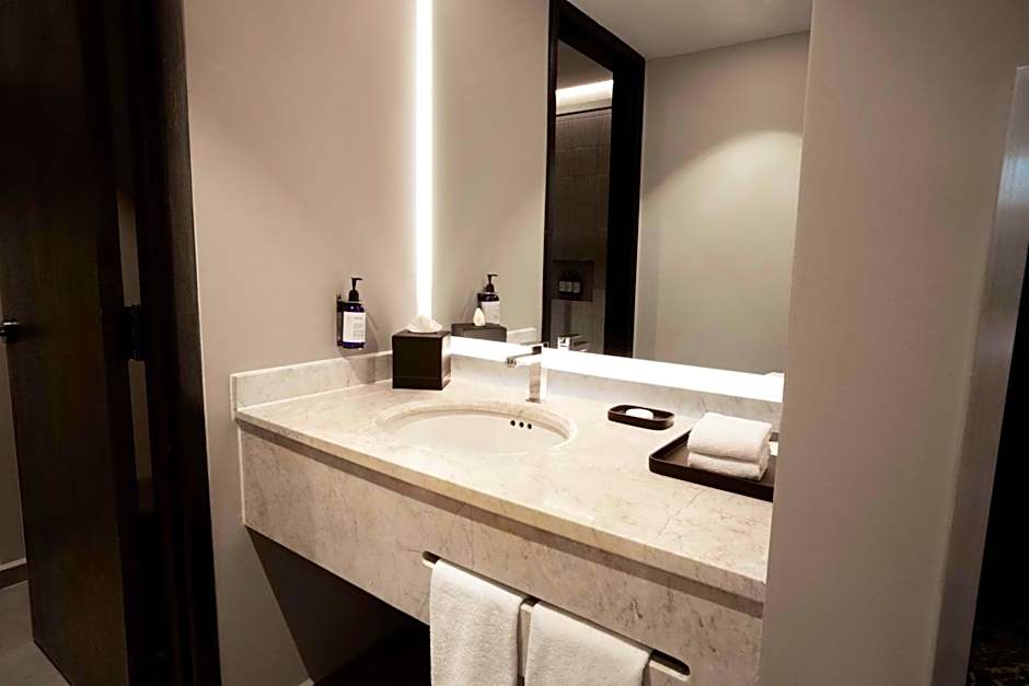 Hilton Mexico City Airport