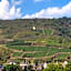 Mike‘s Mosel Lodge