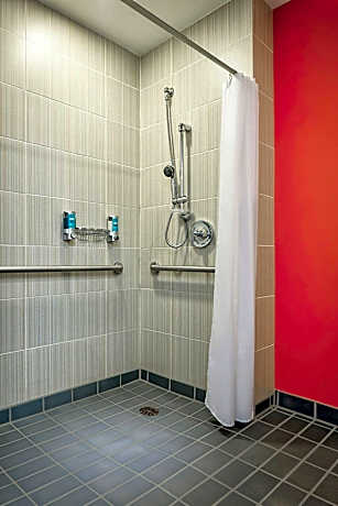 Room, 1 King Bed (Mobility Accessible, Roll-In Shower) (1 King Bed)