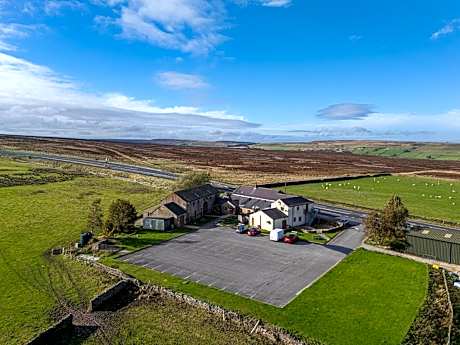 The Dog and Partridge